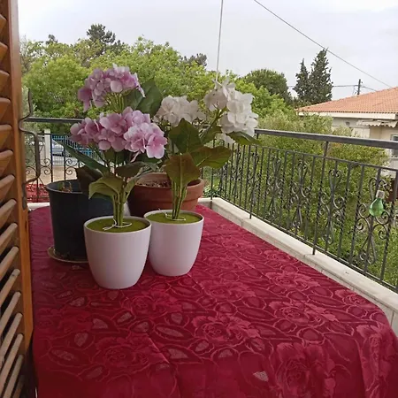 Appartement Aggela House